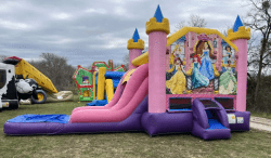 1d6d2c8c 4bcb 4bed 8b53 d2611cdaa5f7 slack bot shpr 1765373380 Disney Princess Combo Wet or Dry