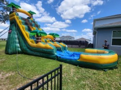 20230825 135328 1765375169 22' Cali Palms Water Slide (Wet/Dry)