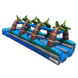 Dual Lane Palm Tree Slip n Splash (New 2024)