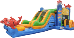 Super Double Lane Big Kahuna Combo (Wet/Dry) 