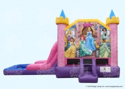 Disney Princess  Combo Wet or Dry